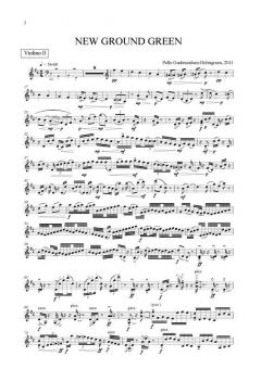 New Ground Green (Pelle Gudmundsen-Holmgreen) 