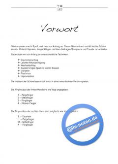 Gitarrenkiste von Michael Habecker 