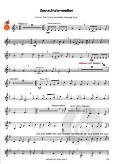 Easy Steps 2 (NL) von Jaap Kastelein 