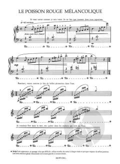 Les nouveaux animaux magiques von Gerard Meunier 