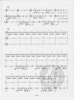 Sud America speed von Gerard Berlioz 