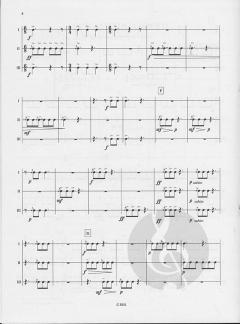 Sud America speed von Gerard Berlioz 