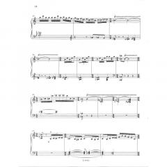 Concerto per il Cembalo (Kurt Rapf) 