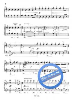 cage in my car von Gerard Pesson 