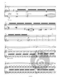 Concerto pour flûte von Marc-André Dalbavie 