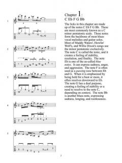 2000 Blues Licks That Rock! 