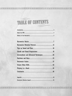 Blues Harmonica von Steve Guyger im Alle Noten Shop kaufen