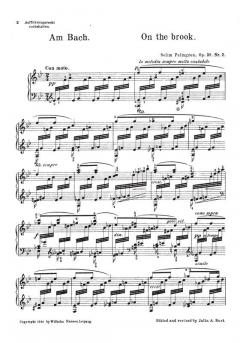 The Summer of the North Op.39, No.1-5 von Selim Palmgren 