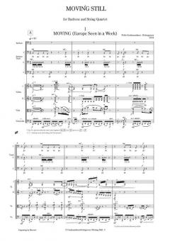 Moving Still (Pelle Gudmundsen-Holmgreen) 