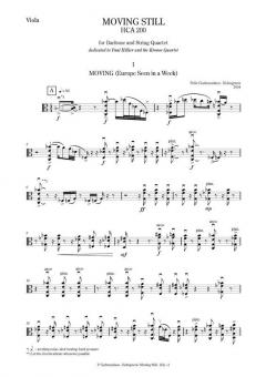 Moving Still (Pelle Gudmundsen-Holmgreen) 