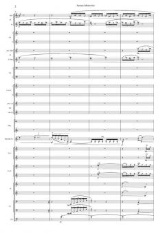 Screen Memories, Trumpet Concerto No.2 von Britta Byström 