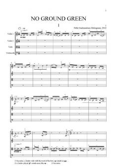 No Ground Green (Pelle Gudmundsen-Holmgreen) 