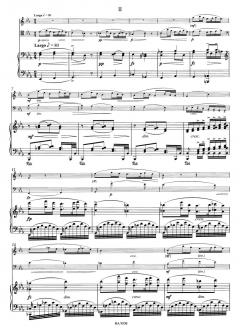 Trio für Klavier, Violine und Violoncello g-Moll op. 26 (Antonín Dvorák) 