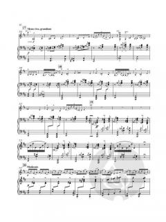 Tzigane von Maurice Ravel 