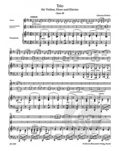 Trio op. 40 (Johannes Brahms) 