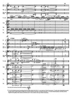 Konzert für Violoncello und Orchester h-Moll op. 104 von Antonín Dvorák 