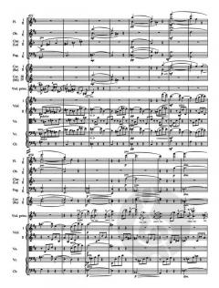 Konzert für Violine und Orchester D-Dur op. 77 von Johannes Brahms im Alle Noten Shop kaufen