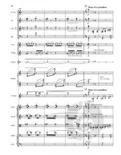 Tzigane von Maurice Ravel 