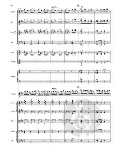 Tzigane von Maurice Ravel 