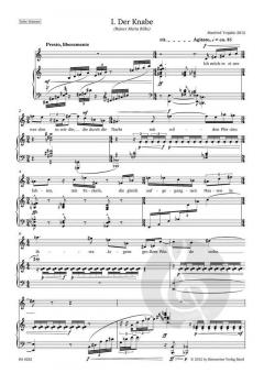 Ich will ein Reiter werden von Manfred Trojahn 