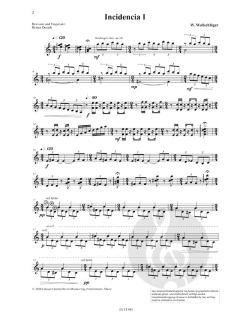 Incidencia von Wolfgang Wollschläger 