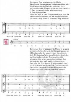 Stimmicals 1 von Uli Führe 