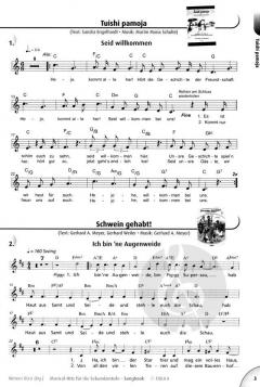 Musical-Hits für die Sekundarstufe von Werner Rizzi 