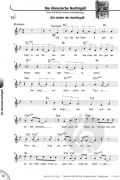 Musical-Hits für die Sekundarstufe von Werner Rizzi 