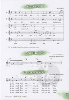 Start Ups 3 von Werner Rizzi 