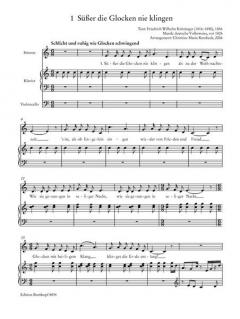 Engelslicht und Dornenschatten von Christine Maria Rembeck 