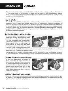 100 Blues Lessons von Chad Johnson 