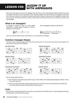 100 Blues Lessons von Chad Johnson 