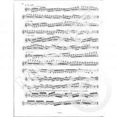 Ich bin ein Musikant Heft 5 von Josef Bartosch 