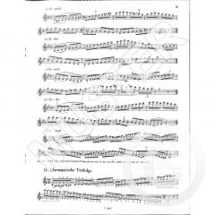 Ich bin ein Musikant Heft 5 von Josef Bartosch 