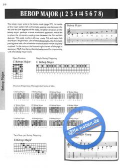 The Ultimate Guitar Chord & Scale Bible von Mark Dziuba 
