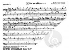 Für die närrischen Tage - Faschingshits 