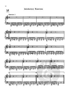 Boogie Woogie For Beginners von Frank Paparelli 