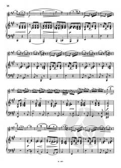 Arpeggione Sonate von Franz Schubert 