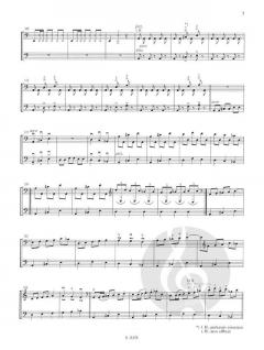 Malaguena für Kontrabass solo oder 2 Kontrabässe von Franz Pillinger im Alle Noten Shop kaufen