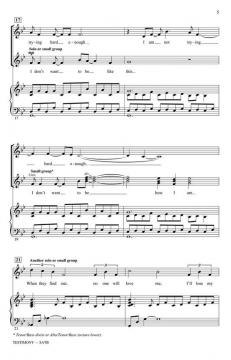 Testimony von Stephen L. Schwartz (Download) 