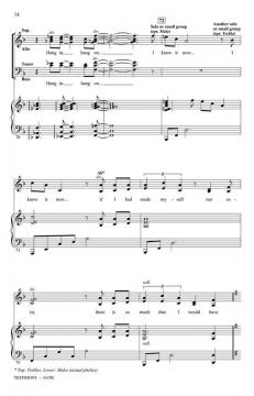 Testimony von Stephen L. Schwartz (Download) 