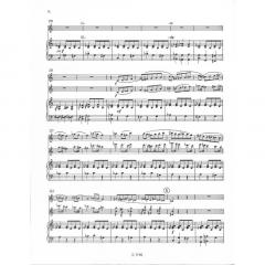 Es liegt ein Schloss in Österreich op. 43c von Augustin Kubizek 