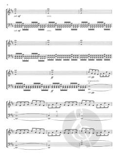 Luka Sulic & Stjepan Hauser von 2Cellos 