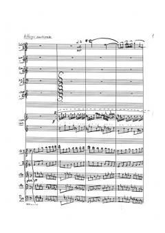 Concerto per accordeon e orchestre von Niels Viggo Bentzon im Alle Noten Shop kaufen (Partitur)