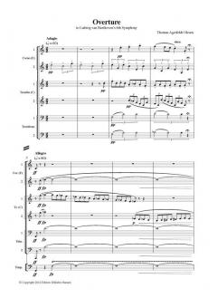 Overture To Beethoven's 6th Symphony (Thomas Agerfeldt Olesen) 