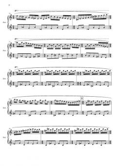 Concerto per accordeon e orchestre von Niels Viggo Bentzon 