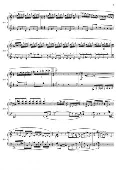 Concerto per accordeon e orchestre von Niels Viggo Bentzon 