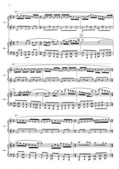 Concerto per accordeon e orchestre von Niels Viggo Bentzon 