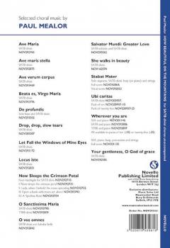 How Beautiful On The Mountains von Paul Mealor 