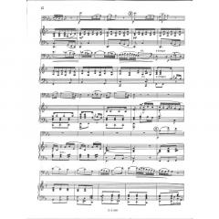 Concerto D-Dur bearb. von Oliviero Gianelli (Rudolf Malaric) Op. 1 von Carl Stamitz 